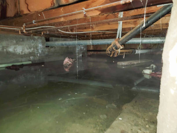 Best Flooded house restoration  in Rio Del Mar, CA