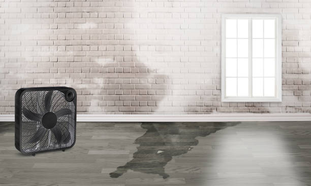 Best Water damage mitigation services  in Rio Del Mar, CA