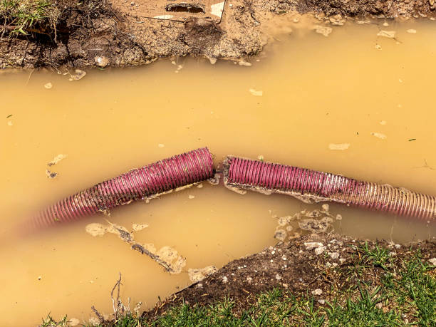 Best Water damage cleanup near me  in Rio Del Mar, CA